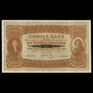 1000 KRONER
